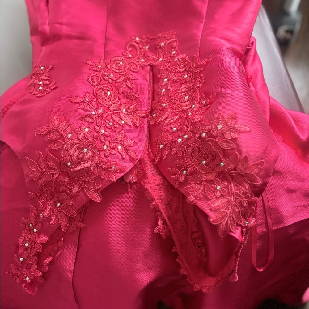 Elegant Red Mermaid Lace Women's Dress